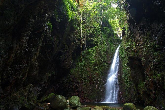 Tai Mo Shan Waterfall Adventure Hike - Transportation, Pricing, and Practical Considerations
