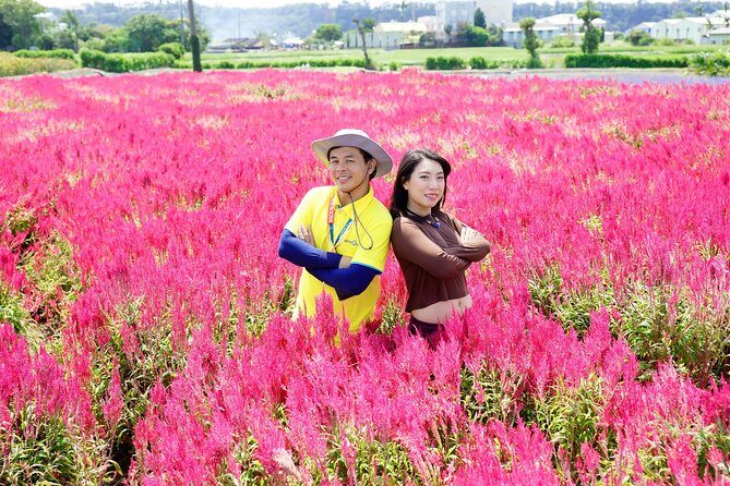 Taichung Must-Visit Join In Day Tour from Taipei - Authentic Experiences & Reviewer Insights