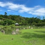 Tainan Ancient Capital & Wushantou Reservoir One Day Tour - Scenic Escape at Wusanto Reservoir