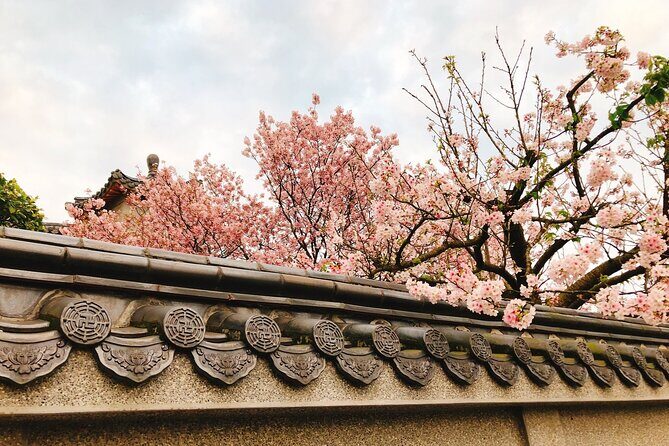 Taipei Cherry Blossom Day Tour to Yangmingshan and Tamsui - Who Will Love This Tour?