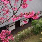 Taipei Day Tour including Taipei 101, Din Tai Fung and Hot Spring Experience - Frequently Asked Questions