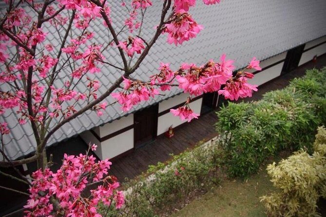 Taipei Day Tour including Taipei 101, Din Tai Fung and Hot Spring Experience - Frequently Asked Questions