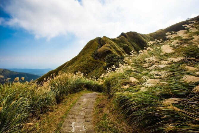Taiwan TST : Private Tour Taipei, Yangmingshan, Beitou, Tamsui - Who Will Love This Tour?