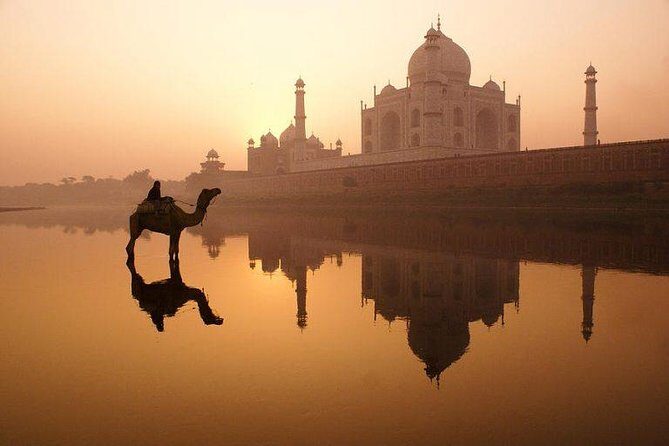 Taj Mahal, Agra Fort & Baby Taj Tour from Delhi- All Inclusive - What Travelers Say