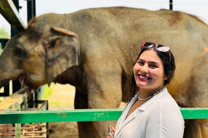 Taj Mahal Day Tour with Elephant from Delhi by Superfast Train - What Makes This Tour Stand Out?