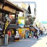 Takamatsu Half-Day Private Tour with Government-Licensed Guide - FAQ