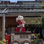 Takayama oldtownship walking tour with local guide. (About 70min) - Group Size, Timing & Flexibility