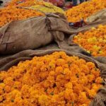 Take in the Beauty of an Early Morning with Fresh Flowers - The Authentic Experience: What Travelers Are Saying
