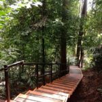 Taman Negara National Park Day Tour (SIC - Join In Tour) - Transport and Group Size
