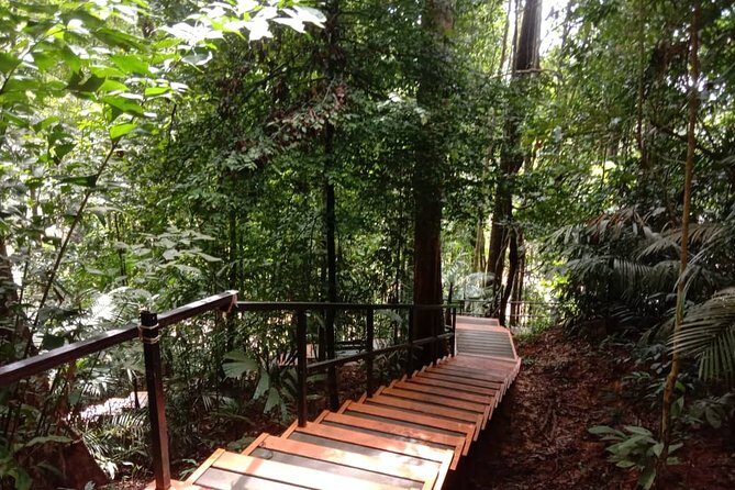 Taman Negara National Park Day Tour (SIC - Join In Tour) - Transport and Group Size