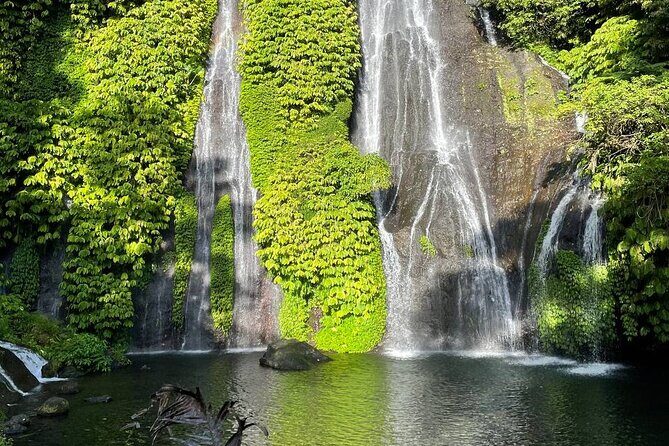 Tanah Lot - Ulun Danu Beratan Temple - Scenic Countryside Tour - Who Will Love This Tour?