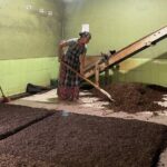 Tea Factory Tour with Tea Tasting Session - Who Will Love This Tour?