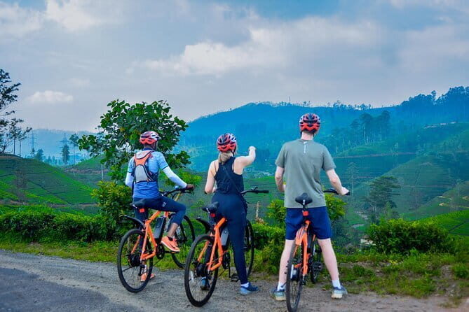 Tea Loops E-Biking - Who Is This Tour Best For?