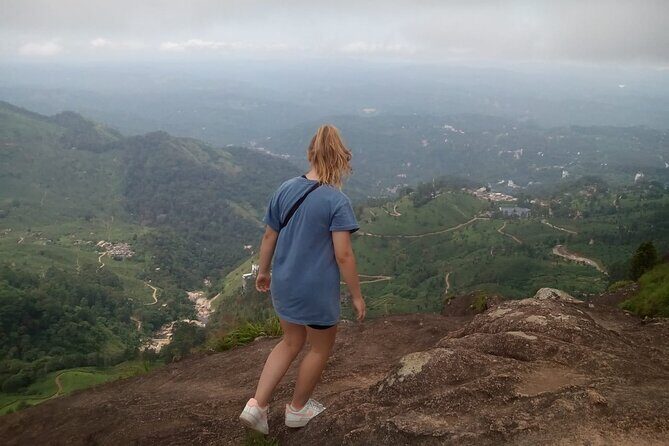Tea Plantation, Grass Land and Mountain Hiking in Munnar - A Deep Dive into the Munnar Morning Trek