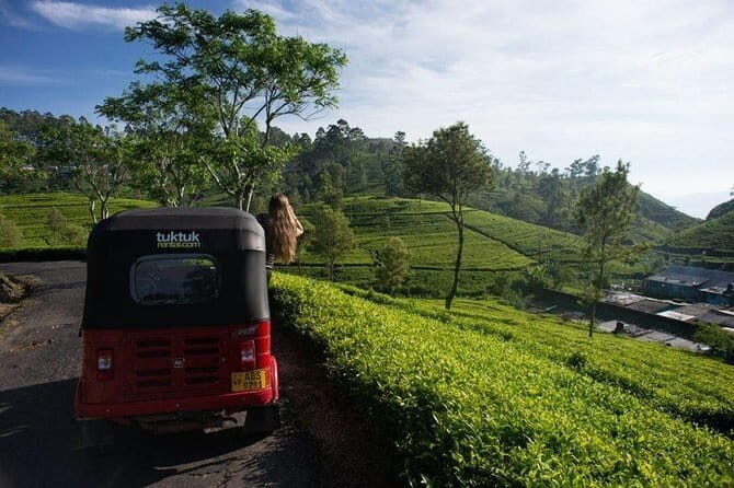Tea Tasting in Nuwara Eliya - Final thoughts