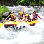 Telaga Waja Rafting Adventure: 3 Hours Rafting and All Inclusive - The Scenic Highlights & Authentic Touches