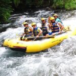 Telaga Waja River White-Water Rafting with Buffet Lunch - Who Should Consider This Tour?