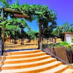Temecula Wine Tour from Los Angeles - Final thoughts