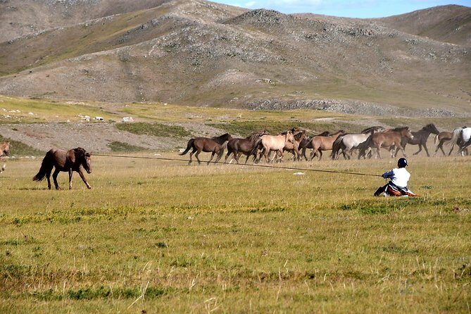 Terelj National Park and Chinggis Khaan Statue Tour - Transport, Guides, and Group Size