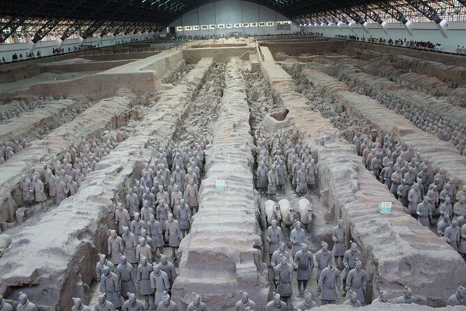 Terra-Cotta Warriors & Horses Essential Full Day Tour from Xi'an - Authentic Insights from Reviewers