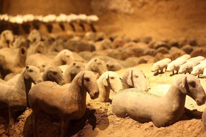 Terra-cotta warriors museum and yang ling mausoleum - FAQ
