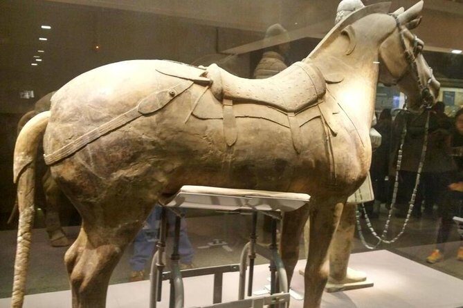 Terracotta Warriors Museum Tour with Airport Pickup or Drop-off Transfer - Exploring the Tour in Detail