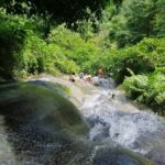 The Best Full Day Tour: Doi Suthep, Wat Phalat, Sticky Waterfall - What Reviewers Say
