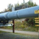 The Best of Fairbanks: Half-Day City Highlights Tour - The Value of This Tour