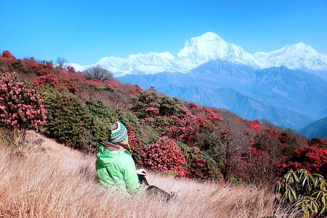 The Best of Nepal : 5-Day Trek to Ghorepani Poon Hill & Ghandruk - Practical Details & What to Expect