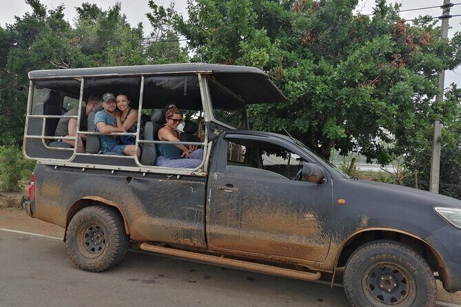 The Best Safari tour from Hambantota Port (Janaka safari) - The Experience in Detail