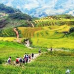 The Best Sapa Tour 2D1N At 3 Star Hotel by sleeping BUS TRANSFER - Who Should Consider This Tour?
