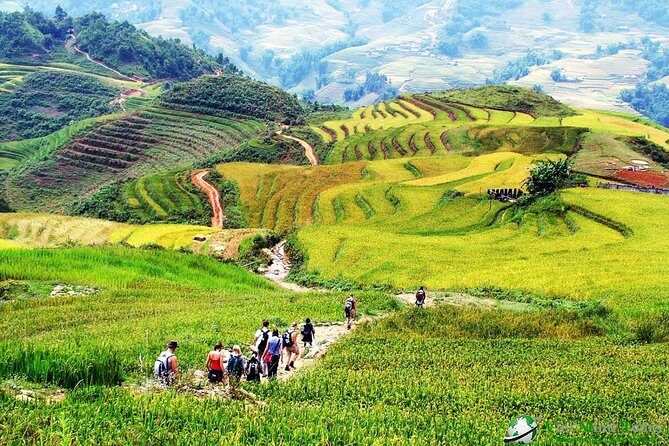 The Best Sapa Tour 2D1N At 3 Star Hotel by sleeping BUS TRANSFER - Who Should Consider This Tour?