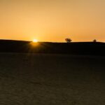 The Billion stars Experience in the Desert - Authentic Experiences Highlighted in Reviews