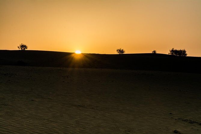 The Billion stars Experience in the Desert - Authentic Experiences Highlighted in Reviews