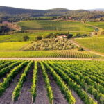The Complete Wine Tour Brunello, Nobile, Chianti wine experience - How It Comes Together: The Value and Experience