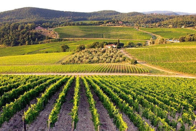 The Complete Wine Tour Brunello, Nobile, Chianti wine experience - How It Comes Together: The Value and Experience