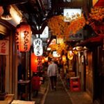 The Dark Side of Tokyo - Night Walking Tour Shinjuku Kabukicho - Unpacking the Value
