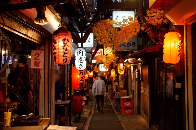 The Dark Side of Tokyo - Night Walking Tour Shinjuku Kabukicho - Unpacking the Value
