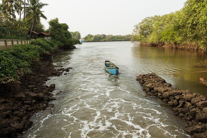 The Divar Island Exploration - What Travelers Are Saying