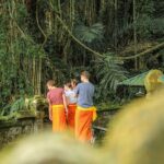 The Essence Of Bali - Practical Details: What This Tour Means for You
