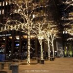 The Magic of Christmas in New York: Private Walking Tour - Practical Tips