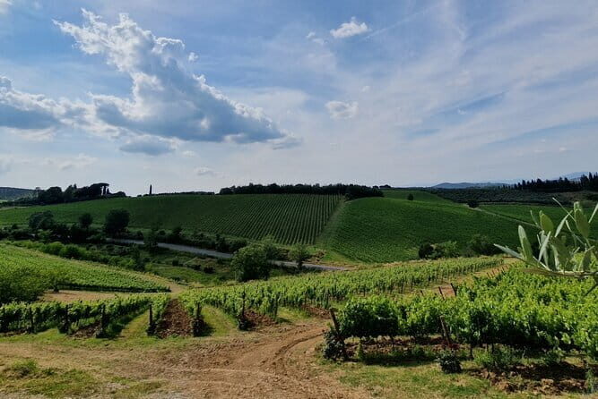 THE MASTER of Chianti Classico 4 Top Wineries Limo Service New!! - Final Thoughts