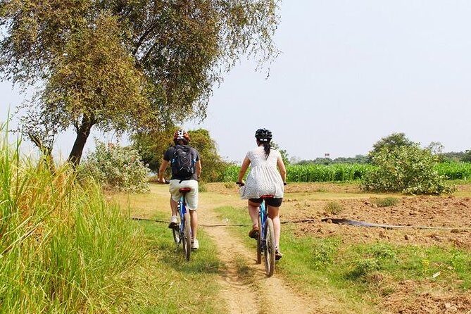 The Mekong Island Biking Tour and Lunch with farmers - Detailed Tour Breakdown: From City Streets to Rural Serenity