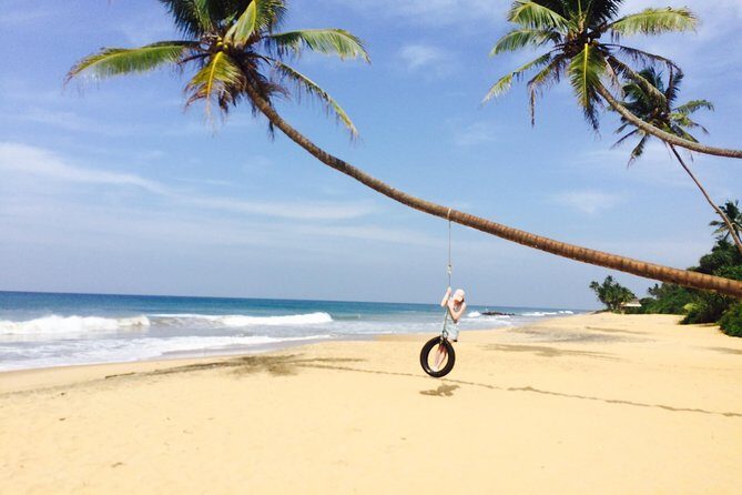 The Most Recommended Round Tour in Sri Lanka - Authentic Insights from Reviewers