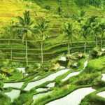 The Popular Of Ubud Private Day Tour - Why This Tour Offers Good Value
