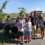 The Real of Rural Hoi An - Practical Aspects and Value