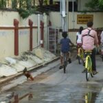 The Unique Pondicherry City Bike Tour - Deep Dive into the Itinerary