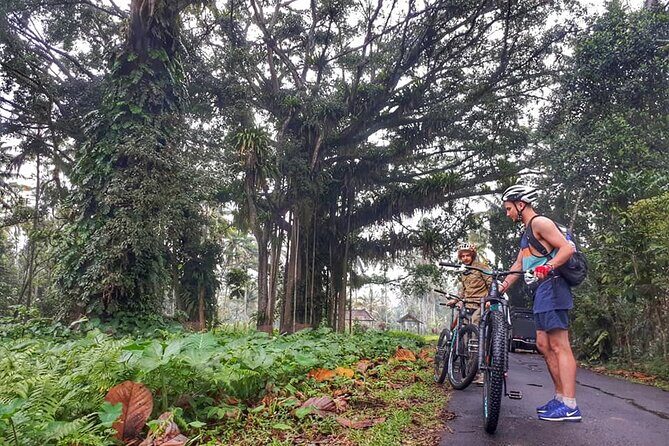 The Volcano Trail - The Itinerary in Detail