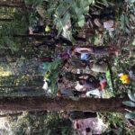 The Wild Explorer - 3 days forest trek with homestay and camping - Practicalities and Considerations