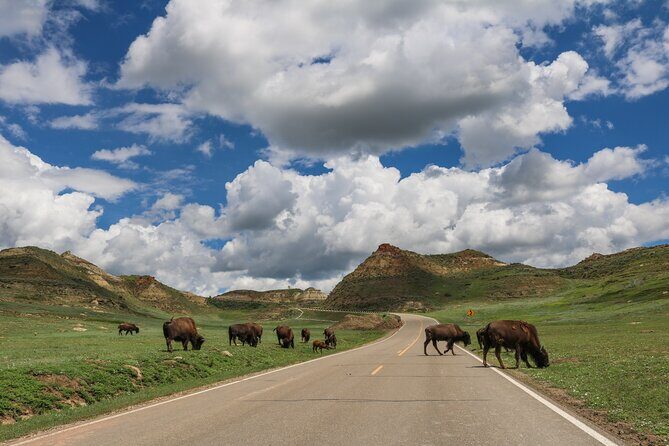 Theodore Roosevelt National Park Self-Guided Audio Tour - The Itinerary: What’s Included & Why It Matters